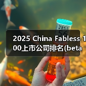 2025 China Fabless 100上市公司排名(beta版)出炉！（图4）