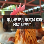 华为诺亚方舟实验室迎90后新掌门（图4）