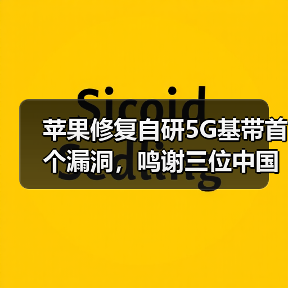 苹果修复自研5G基带首个漏洞,鸣谢三位中国专家(图4) 苹果修复自研5G基带首个漏洞,鸣谢三位中国专家(图4)