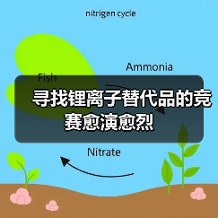 寻找锂离子替代品的竞赛愈演愈烈(图4) 寻找锂离子替代品的竞赛愈演愈烈(图4)