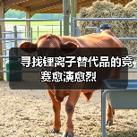 寻找锂离子替代品的竞赛愈演愈烈(图3) 寻找锂离子替代品的竞赛愈演愈烈(图3)