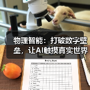 物理智能:打破数字壁垒,让AI触摸真实世界(图2) 物理智能:打破数字壁垒,让AI触摸真实世界(图2)