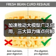 加速推动大模型广泛应用,三大算力痛点何解?(图1) 加速推动大模型广泛应用,三大算力痛点何解?(图1)