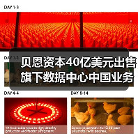贝恩资本40亿美元出售旗下数据中心中国业务，字节跳动是最大客户（图4）