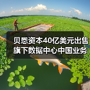 贝恩资本40亿美元出售旗下数据中心中国业务，字节跳动是最大客户（图3）