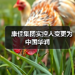 康佳集团实控人变更为中国华润(图3) 康佳集团实控人变更为中国华润(图3)