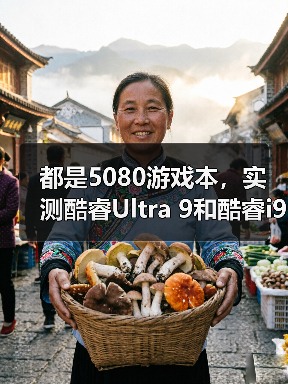 都是5080游戏本,实测酷睿Ultra 9和酷睿i9性能差异有多大?(图4) 都是5080游戏本,实测酷睿Ultra 9和酷睿i9性能差异有多大?(图4)
