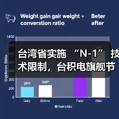 台湾省实施 “N-1” 技术限制，台积电旗舰节点定义成关键（图1）