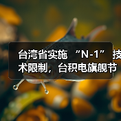 台湾省实施 “N-1” 技术限制，台积电旗舰节点定义成关键（图2）