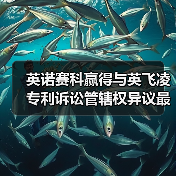 英诺赛科赢得与英飞凌专利诉讼管辖权异议最高院终裁胜诉（图1）