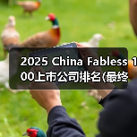 2025 China Fabless 100上市公司排名(最终版)（图4）