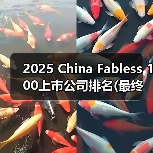 2025 China Fabless 100上市公司排名(最终版)（图3）