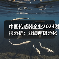中国传感器企业2024财报分析:业绩两级分化,“隐形冠军”涌现(图4) 中国传感器企业2024财报分析:业绩两级分化,“隐形冠军”涌现(图4)