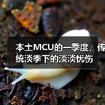 本土MCU的一季度,传统淡季下的淡淡忧伤(图2) 本土MCU的一季度,传统淡季下的淡淡忧伤(图2)