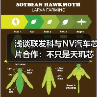 浅谈联发科与NV汽车芯片合作:不只是天玑芯片用Blackwell GPU这么简单(图2) 浅谈联发科与NV汽车芯片合作:不只是天玑芯片用Blackwell GPU这么简单(图2)