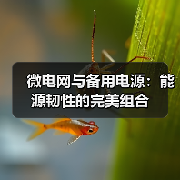 微电网与备用电源:能源韧性的完美组合(图1) 微电网与备用电源:能源韧性的完美组合(图1)