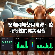 微电网与备用电源:能源韧性的完美组合(图4) 微电网与备用电源:能源韧性的完美组合(图4)