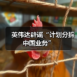 英伟达辟谣“计划分拆中国业务”（图3）