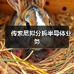 传索尼拟分拆半导体业务(图3) 传索尼拟分拆半导体业务(图3)