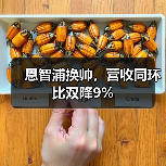 恩智浦换帅,营收同环比双降9%(图1) 恩智浦换帅,营收同环比双降9%(图1)