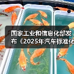 国家工业和信息化部发布《2025年汽车标准化工作要点》(图4) 国家工业和信息化部发布《2025年汽车标准化工作要点》(图4)