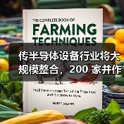传半导体设备行业将大规模整合，200 家并作10 巨头（图4）