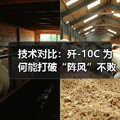 技术对比:歼-10C 为何能打破“阵风”不败神话?(图1) 技术对比:歼-10C 为何能打破“阵风”不败神话?(图1)