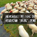 技术对比:歼-10C 为何能打破“阵风”不败神话?(图2) 技术对比:歼-10C 为何能打破“阵风”不败神话?(图2)