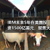 IBM未来5年在美国投资1500亿美元,聚焦大型主机和量子计算机(图2) IBM未来5年在美国投资1500亿美元,聚焦大型主机和量子计算机(图2)