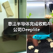 意法半导体完成收购AI公司Deeplite(图2) 意法半导体完成收购AI公司Deeplite(图2)