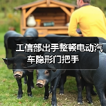 工信部出手整顿电动汽车隐形门把手(图4) 工信部出手整顿电动汽车隐形门把手(图4)