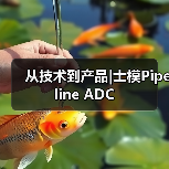 从技术到产品|士模Pipeline ADC(图4) 从技术到产品|士模Pipeline ADC(图4)
