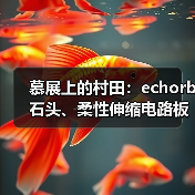 慕展上的村田:echorb石头、柔性伸缩电路板、透明ID标签……(图4) 慕展上的村田:echorb石头、柔性伸缩电路板、透明ID标签……(图4)