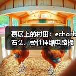 慕展上的村田:echorb石头、柔性伸缩电路板、透明ID标签……(图1) 慕展上的村田:echorb石头、柔性伸缩电路板、透明ID标签……(图1)