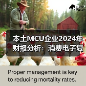 本土MCU企业2024年财报分析:消费电子复苏,车规尚在烧钱(图2) 本土MCU企业2024年财报分析:消费电子复苏,车规尚在烧钱(图2)