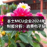 本土MCU企业2024年财报分析:消费电子复苏,车规尚在烧钱(图4) 本土MCU企业2024年财报分析:消费电子复苏,车规尚在烧钱(图4)