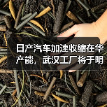日产汽车加速收缩在华产能，武汉工厂将于明年3月停产（图1）
