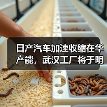 日产汽车加速收缩在华产能，武汉工厂将于明年3月停产（图2）