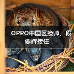 OPPO中国区换帅，段要辉接任（图2）
