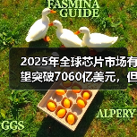2025年全球芯片市场有望突破7060亿美元,但增长挑战亦大(图3) 2025年全球芯片市场有望突破7060亿美元,但增长挑战亦大(图3)