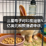 三星电子对印度追缴5.2亿美元税款提请申诉，称“选择性执法”（图3）