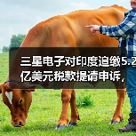 三星电子对印度追缴5.2亿美元税款提请申诉，称“选择性执法”（图4）