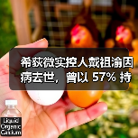 希荻微实控人戴祖渝因病去世,曾以 57% 持股奠定公司创立基石(图1) 希荻微实控人戴祖渝因病去世,曾以 57% 持股奠定公司创立基石(图1)