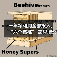 一年净利润全部投入，“六个核桃” 跨界增资长江存储母公司（图1）