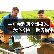 一年净利润全部投入，“六个核桃” 跨界增资长江存储母公司（图4）
