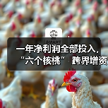 一年净利润全部投入，“六个核桃” 跨界增资长江存储母公司（图3）
