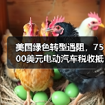 美国绿色转型遇阻,7500美元电动汽车税收抵免或将取消(图4) 美国绿色转型遇阻,7500美元电动汽车税收抵免或将取消(图4)