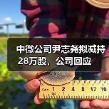 中微公司尹志尧拟减持28万股,公司回应(图4) 中微公司尹志尧拟减持28万股,公司回应(图4)
