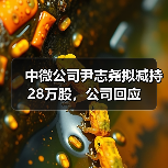中微公司尹志尧拟减持28万股,公司回应(图2) 中微公司尹志尧拟减持28万股,公司回应(图2)