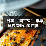 韩国 “国宝级” 半导体专家赴中国任职(图4) 韩国 “国宝级” 半导体专家赴中国任职(图4)